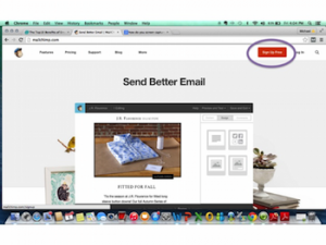 setting up email marketing management for small business
