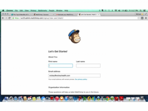 email marketing opt-in page